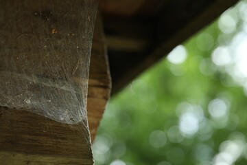Cobweb on wooden building outdoors, closeup. Space for text