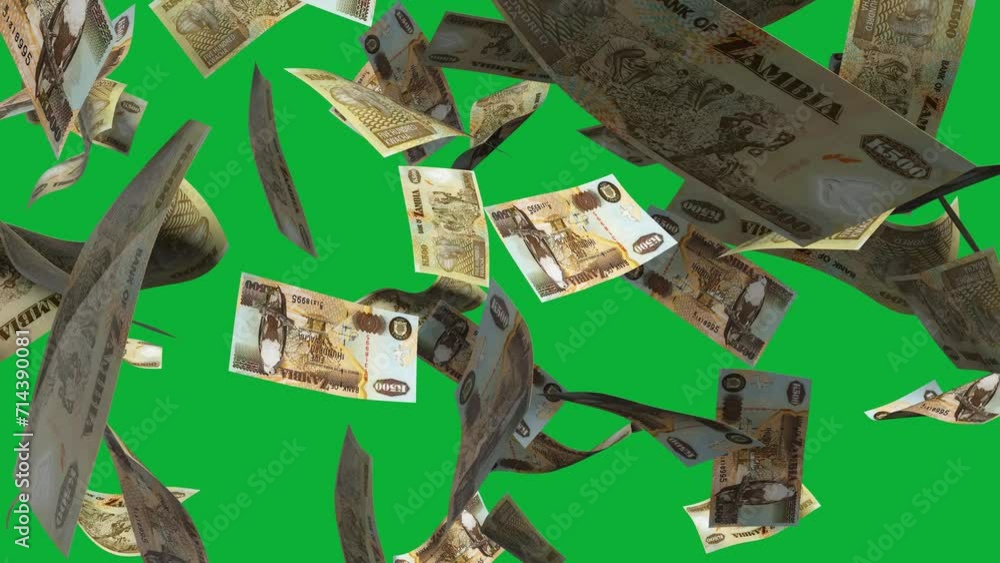 Poster 3d animation of zambian kwacha notes falling on green screen. you can remove the background by keyin