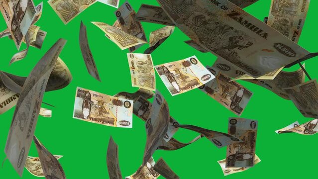3D animation of Zambian Kwacha notes Falling On Green screen. You can remove the background by keying or subtracting with the black and white matte to replace with a custom one

