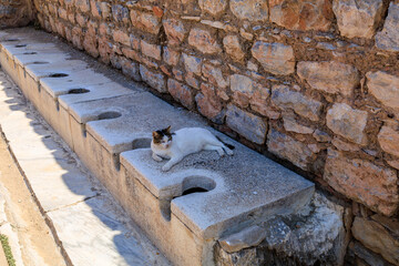 Antique Roman public toilet in the city of Ephesus. Background with selective focus and copy space