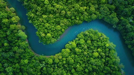  an aerial view of a river in the middle of a green forest with a blue river running through the middle of the forest, surrounded by lush green trees and blue water.