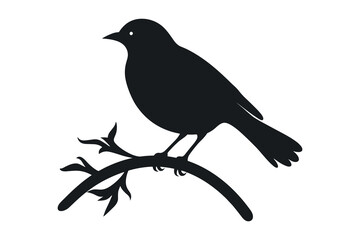 Bird Tree Silhouette Vector Images