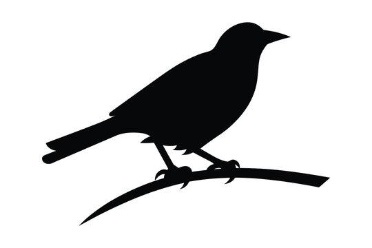 recommend clip art: Bird Tree Silhouette Vector Images
