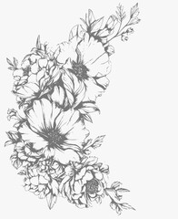 hand drawn sketch of flowers