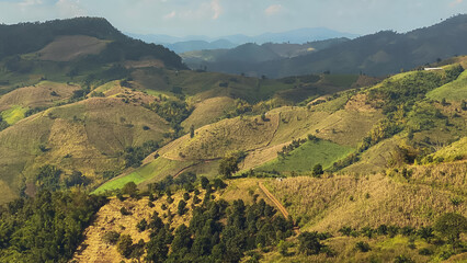 rice terraces in island