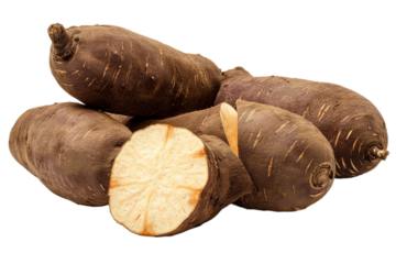 cassava isolated on white background