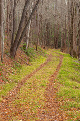 Old Sugarlands Trail in the Great Smoky Mountains