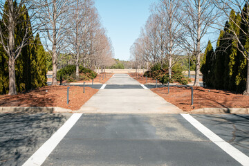 A road leading off into the distance with leafless trees on each side.