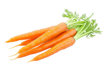 Carrots Bunch Isolated on White Background: Fresh, Organic, and Healthy Vegetable Market Display with Green Leaves