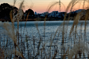 湖の冬の夕暮れ