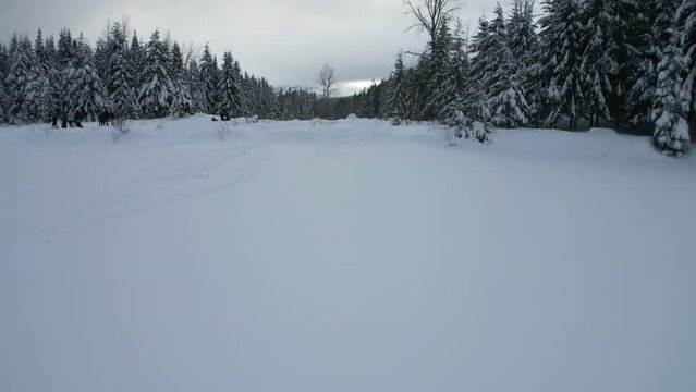 Snow-Clad Clearing with Footprints Etching a Path to the Forest's Edge Beneath a Cloudy Winter Sky