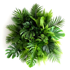 green leaves PNG