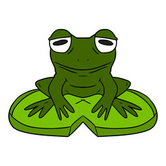 green frog illustration vector