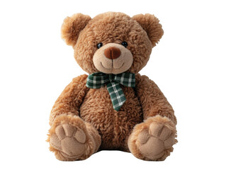 Teddy Bear Plush