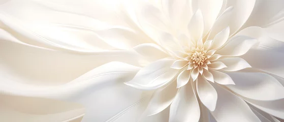 Fotobehang Details of blooming white dahlia fresh flower macro photography with copy space © pijav4uk
