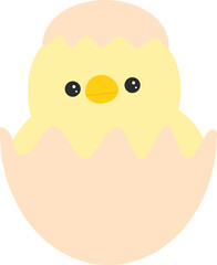 계란 껍질을 깨고 나온 병아리