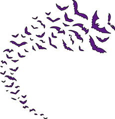 コウモリの群れ（swarm of bats）