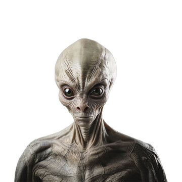 Human, extraterrestrial, alien, extraterrestrial life concept isolated on png background.