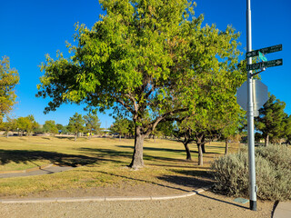 Big trees, open grassy play fields and foot trails to walk in Dos Lagos Park, Glendale, Arizona