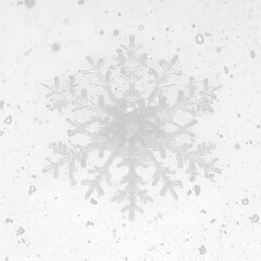 snowflake on white background 4