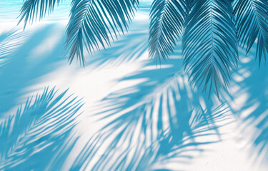 Fototapeta na wymiar top view of water surface with tropical leaf shadow. Shadow of palm leaves on white sand beach. 