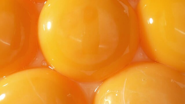 Macro footage examines the scientific marvel of a fresh yolk. Observe the intricate cellular structures, lipid droplets, and protein networks in astounding clarity. Food concept. 4K.
