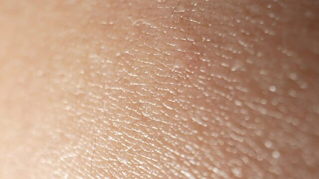 Zooming in on the arm's skin, a surreal landscape unfolds-each pore, wrinkle, and imperfection forming a tapestry of human uniqueness. 4K.
