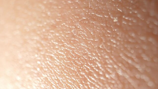 Mesmerizing Macro: Explore the arm's surface in intricate detail. Witness the complex textures and tiny pores up close. 4K.
