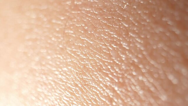 A mesmerizing dance of textures unfolds as the camera dives into the arm's skin, unveiling a delicate tapestry of pores, creases, and tiny imperfections. 4K.
