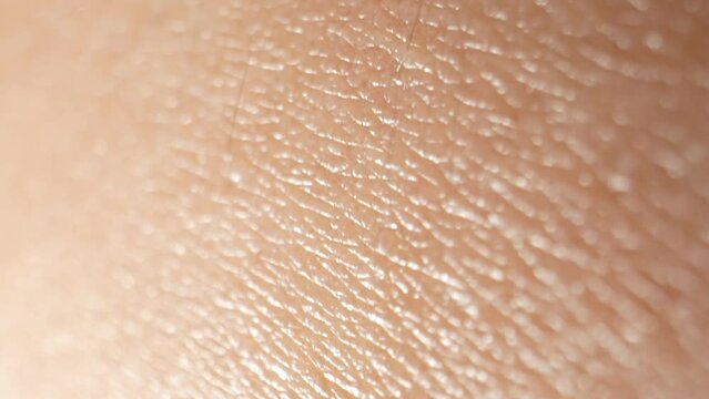 A close-up view unveils the arm's skin as a complex tapestry of pores, follicles, and micro-ridges, a testament to the body's intricate design. 4K.
