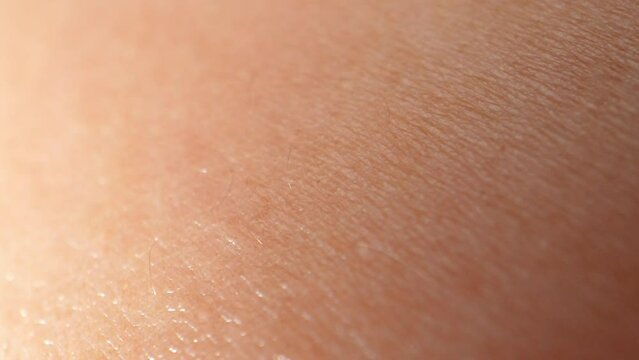 Zooming in, the arm's skin becomes a captivating tapestry, highlighting every crevice, wrinkle, and blemish, offering a glimpse into the complexity of our body's largest organ. 4K.
