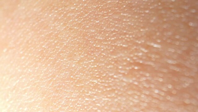 In macro footage, arm skin reveals a mesmerizing landscape of tiny pores, fine hairs, and subtle textures, resembling a miniature world. 4K.
