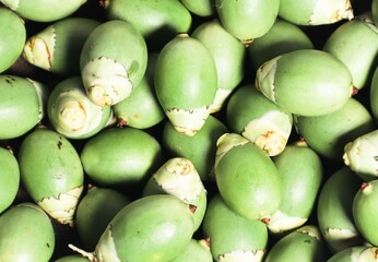 Green palm fruit (buah palem), Top View 