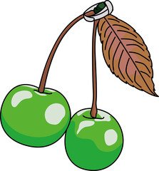 さくらんぼ（Cherry）