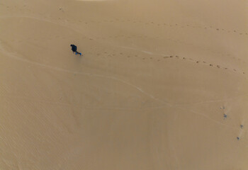 Person walking on yellow sand with footprints in the sand, aerial view looking down. Travel...