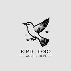 modern minimalist bird logo design vector