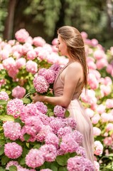 Fototapeta premium Hydrangeas Happy woman in pink dress amid hydrangeas. Large pink hydrangea caps surround woman. Sunny outdoor setting. Showcasing happy woman amid hydrangea bloom.