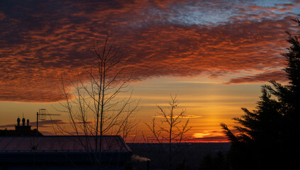 Beautiful sunrise with orange sky and clouds. Black tree in the foreground.