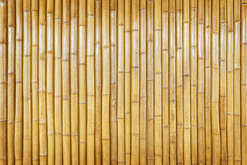 vertical yellow bamboo wall,dry bamboo texture exactly vertically straight wall floor light. Eco...