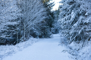 Winter in den Vogesen am Col d'Urbeis