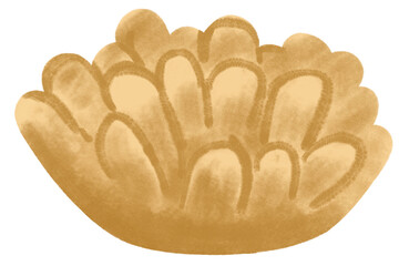 cute watercolor crayon illustration style clip art set collection of coral reefs