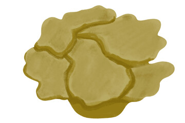 cute watercolor crayon illustration style clip art set collection of coral reefs