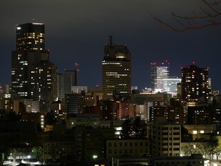 Fototapeta na wymiar 仙台　夜景 