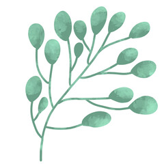 Green leaf watercolor summer illustration