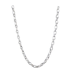Silver Chain