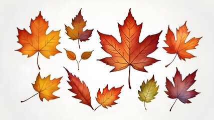 Set of autumn leaves (maple, wild grapes, elm, linden, oak, chestnut tree, rowan, pear) isolated on white