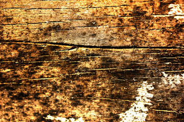 Photo of a backdrop of used wood panels. It is naturally beautiful. and has been decorated with differences along with the uniqueness of nature that is unique
