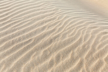 The wavy sandy surface of the dune. Rest and relaxation at a resort by the sea. Close-up. Background. Space for text.