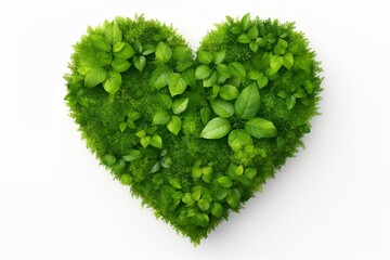 Heart in Green Nature Isolated on White Background - obrazy, fototapety, plakaty