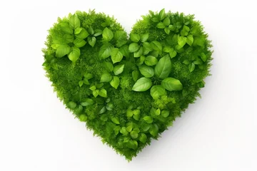 Foto op Canvas Heart in Green Nature Isolated on White Background © roy9